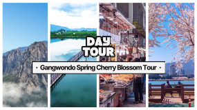 2024 Spring Cherry Blossom Tour in Gangwon-do(Departure Seoul) / Yeongrang Lake, Jungang Market, Ulsan Rock, Namdaecheon