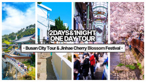 2024 Busan + Jinhae Cherry Blossom Tour from Seoul & Busan